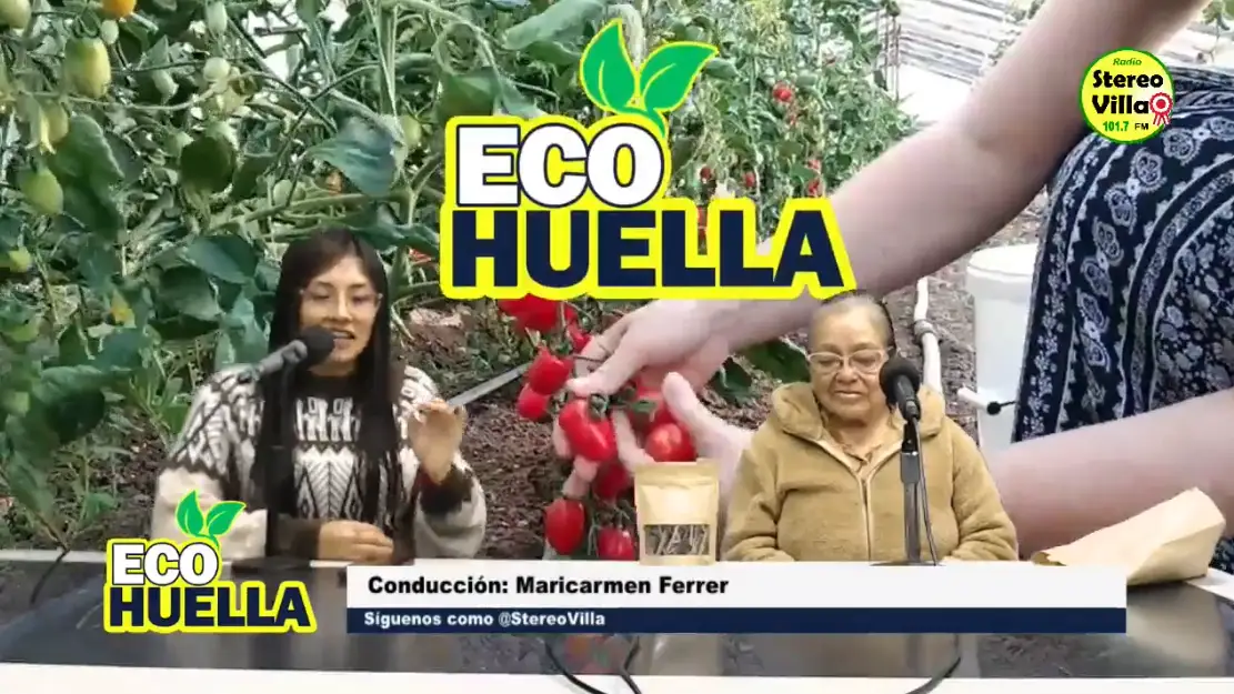Slide 614