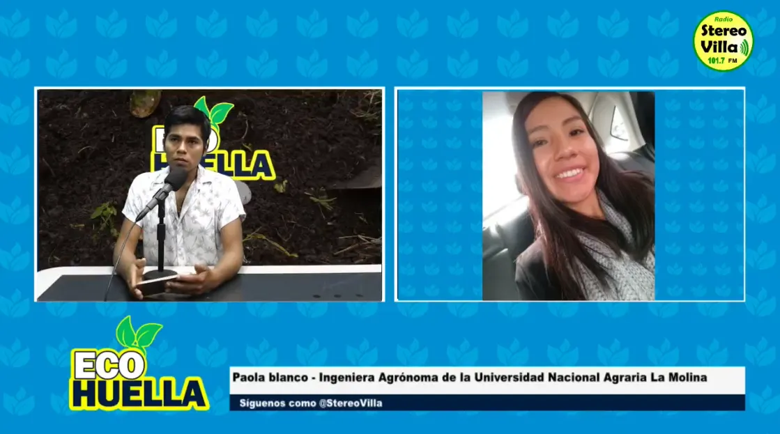 Slide 250